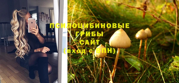 дурь Балахна
