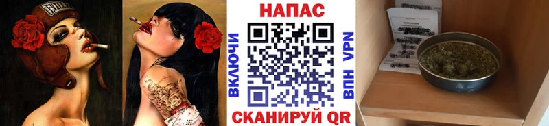 где найти   Белоусово  Шишки марихуана гибрид 